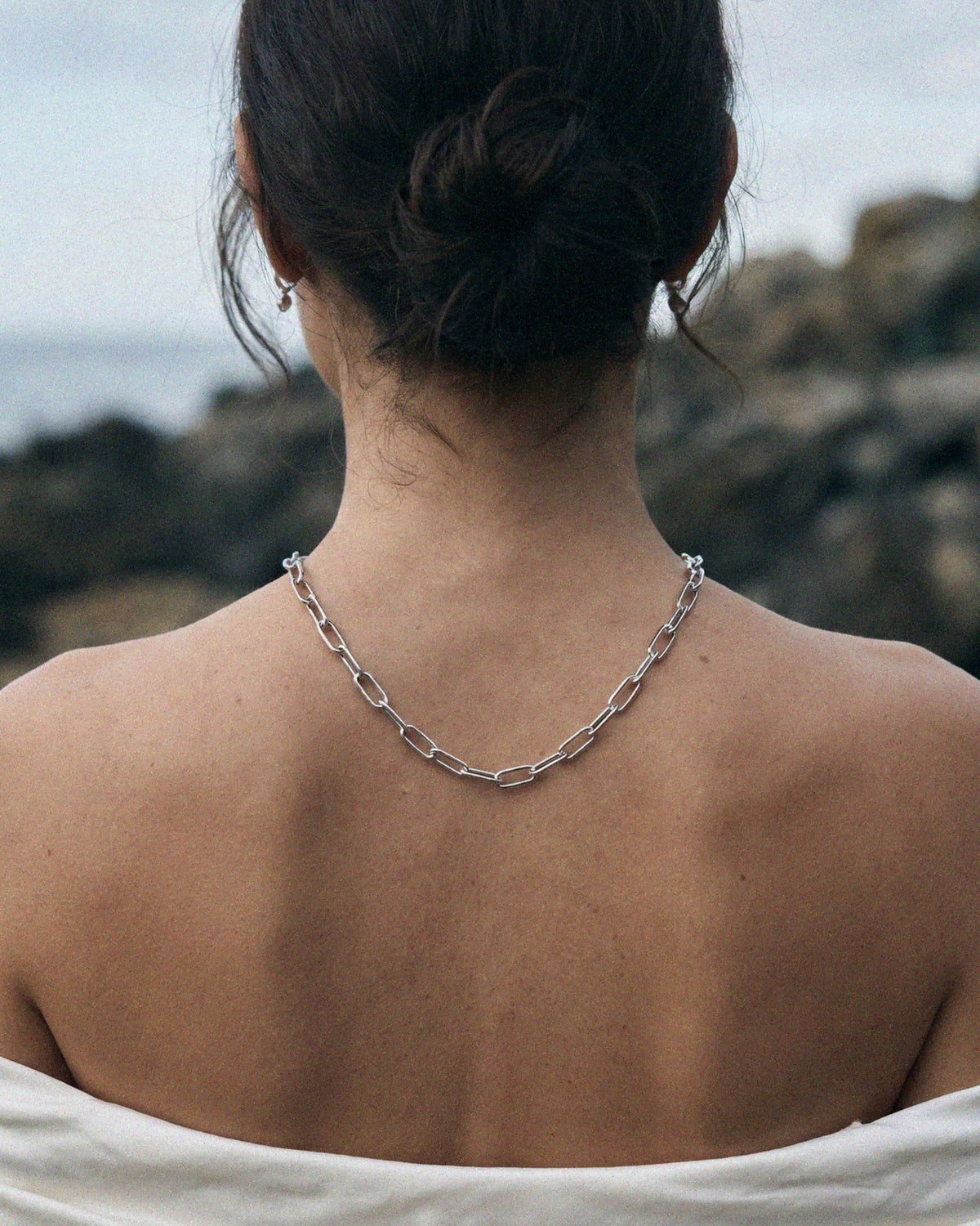 The Silver Formes Necklace Chain