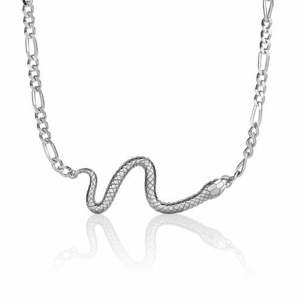 The Silver Serpent Necklace